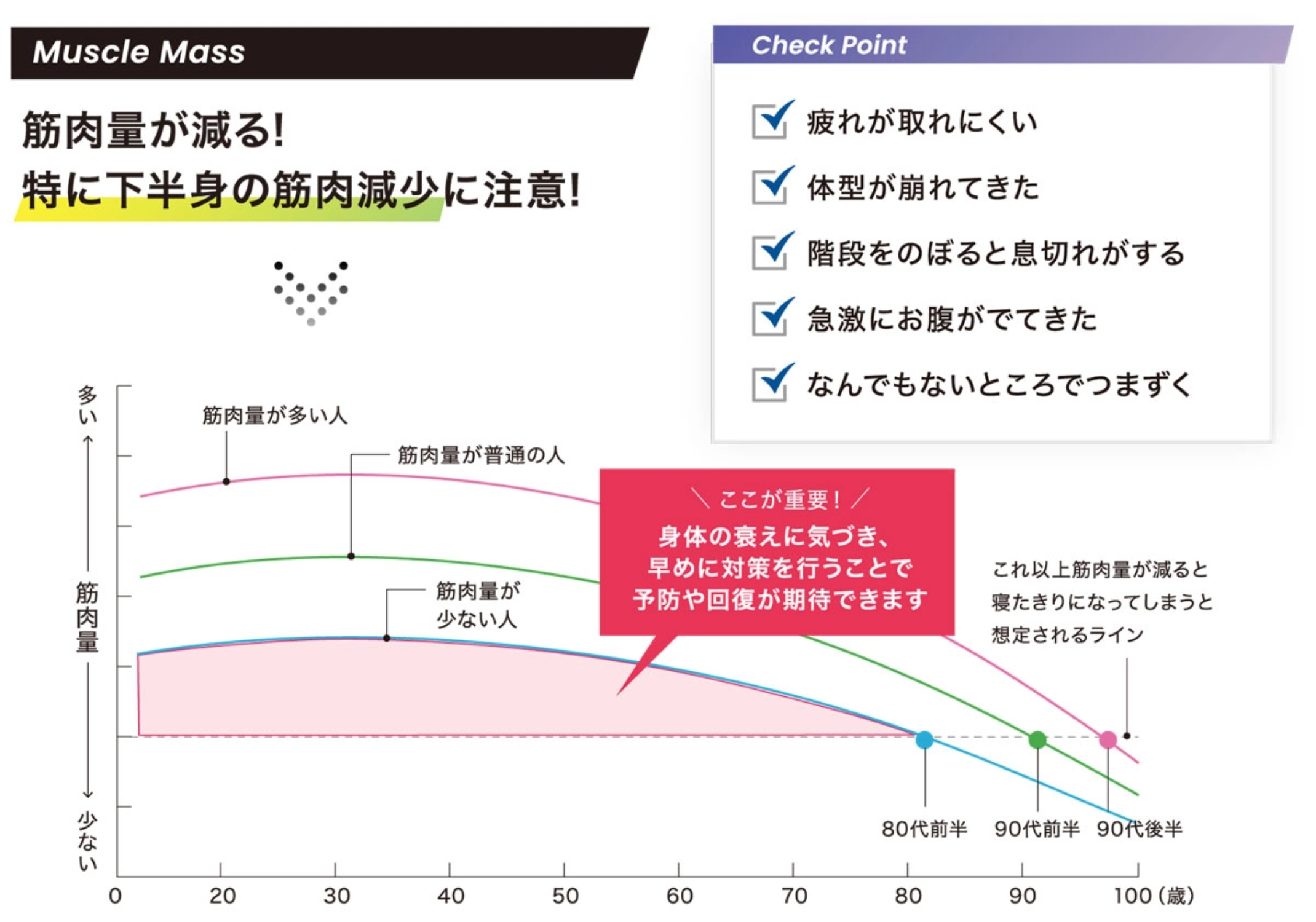 フィットネスドック